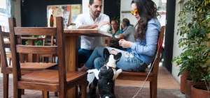 Uno de los requisitos para permitir el ingreso de los perros al restaurante Jurgen (Quito) es que lleven collar y que el due&ntilde;o sea responsable de cualquier da&ntilde;o. 