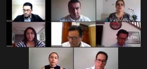 La Comisi&oacute;n de Justicia de la Asamblea durante su sesi&oacute;n virtual.
