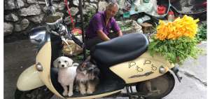 Consumidores de carne de perro defienden su fiesta en China