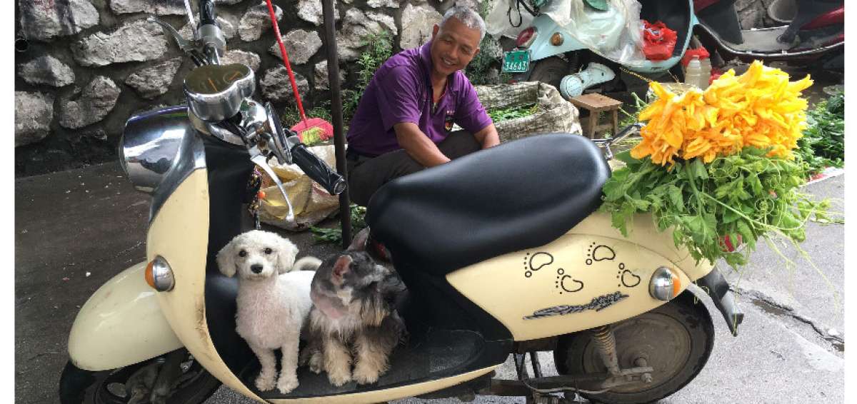 Consumidores de carne de perro defienden su fiesta en China