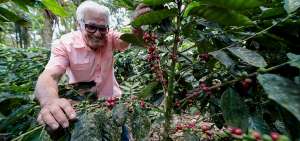 En las tierras de Las Pi&ntilde;as, de Manta, el puertorrique&ntilde;o Juan Delgado muestra parte de su plantaci&oacute;n de caf&eacute;.  