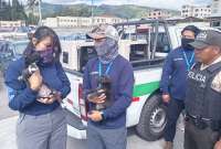 En Quito, gatos y cachorros fueron encontrados en condiciones críticas en un mercado. El presunto vendedor huyó del lugar.