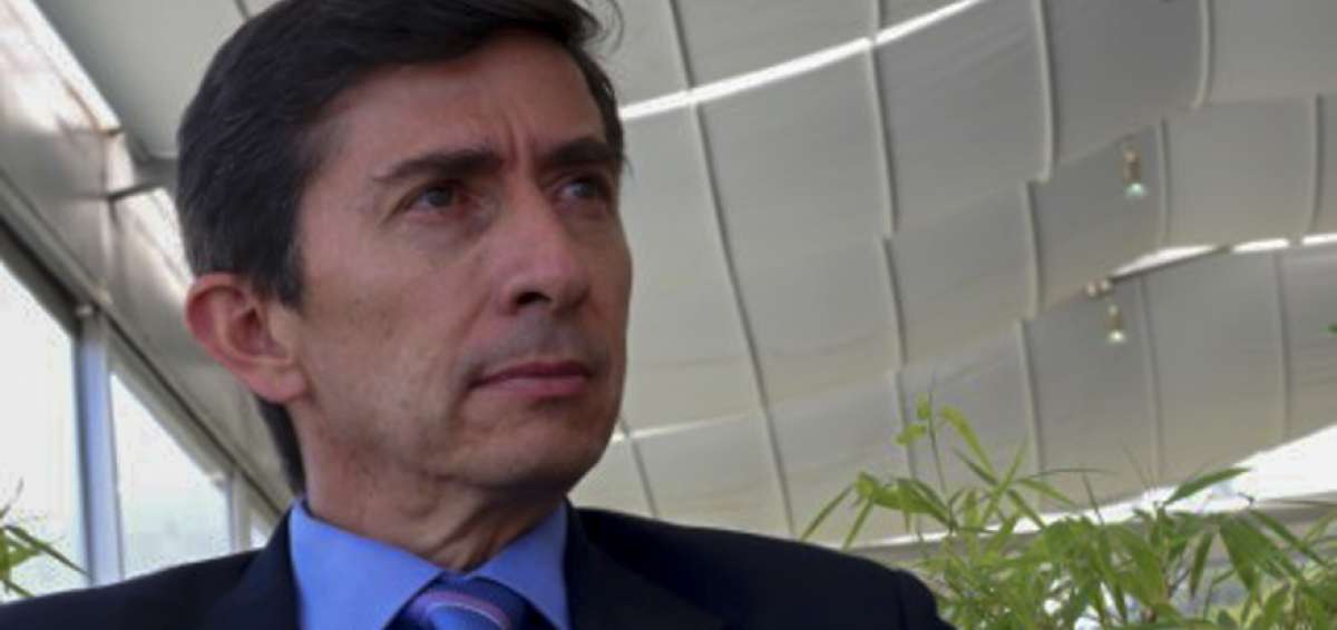 El profesor universitario opina que el ejecutivo podr&iacute;a convocar a una consulta popular para que se ratifique a la comunicaci&oacute;n como un derecho. 