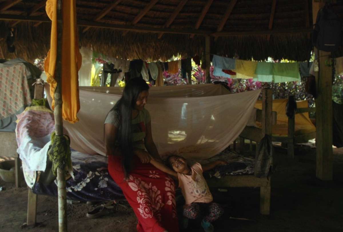 M&aacute;s de 3.700 pel&iacute;culas compitieron por un lugar en uno de los festivales documentales m&aacute;s influyentes del mundo.