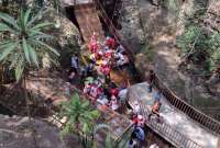 Al menos 25 heridos al desplomarse un puente colgante en México