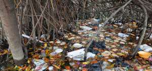 La basura es m&aacute;s visible durante los d&iacute;as de marea baja, seg&uacute;n los habitantes de los sectores afectados por la contaminaci&oacute;n.