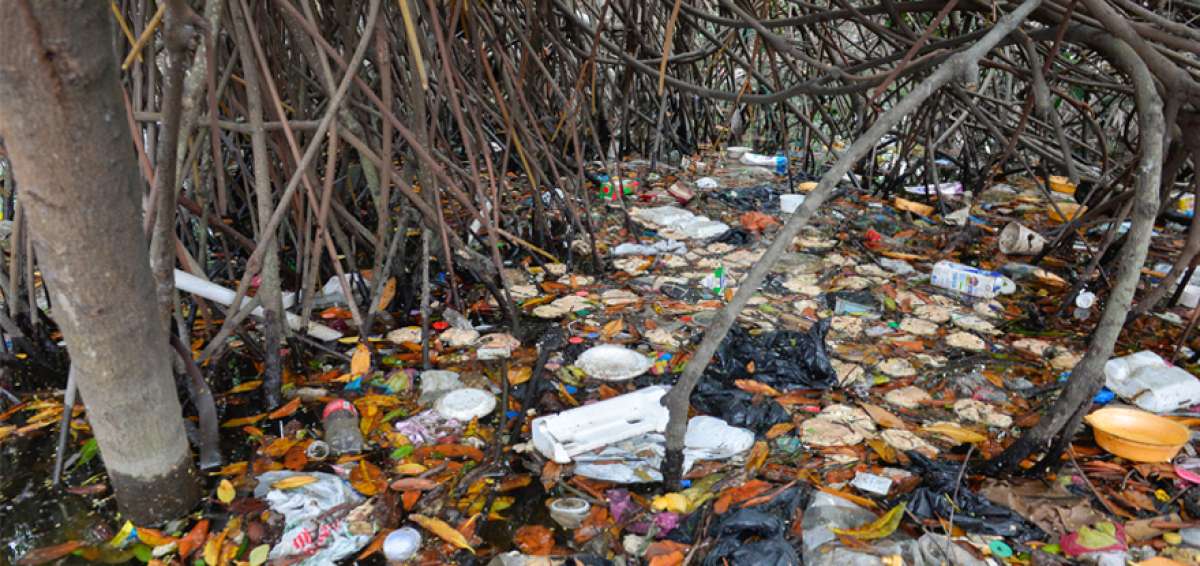 La basura es m&aacute;s visible durante los d&iacute;as de marea baja, seg&uacute;n los habitantes de los sectores afectados por la contaminaci&oacute;n.