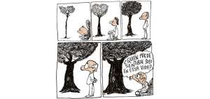 La imagen del d&iacute;a