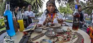 Una mujer de la nacionalidad kichwa de Pastaza promociona brebajes, platos t&iacute;picos, como hormigas asadas, y artesan&iacute;as, en el centro de Ambato. 