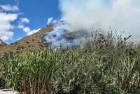 En el sector La Victoria de Guayllabamba se reportó un incendio forestal. 