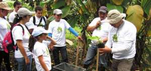 BID y Blue like prestan $ 20 millones a empresas verdes en Ecuador