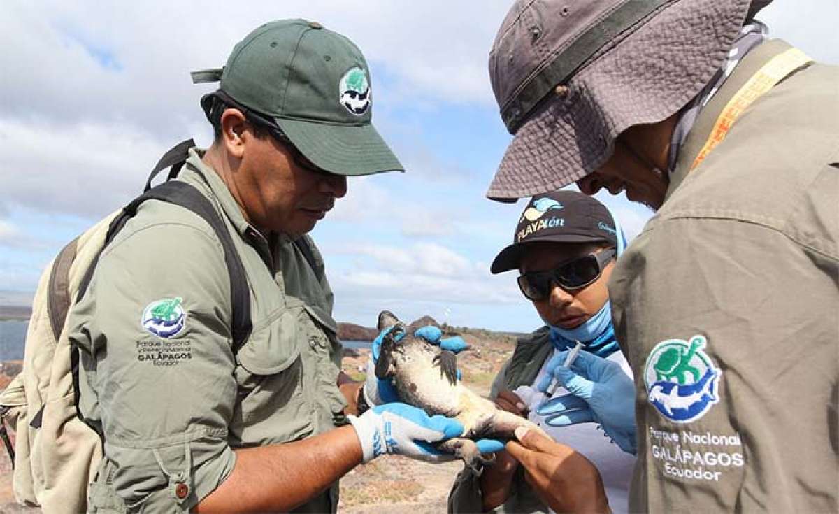 FOTO: Tomada de Flickr Parque Nacional de Gal&aacute;pagos