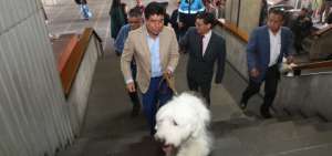 El alcalde de Quito, Jorge Yunda, ingres&oacute; al Palacio Municipal con su mascota. 