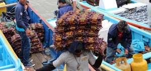 Los cangrejeros llegan al mercado Caraguay, en el sur de Guayaquil, donde comerciantes les compran el producto del manglar.