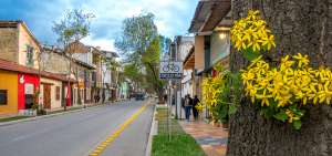 Las rutas para ciclistas tienen el objetivo de descongestionar el tr&aacute;nsito en el centro de la capital lojana y ofrecer alternativas de movilidad.