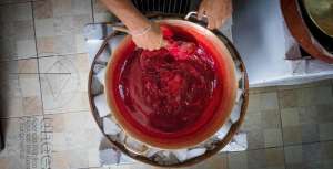 Al llegar a Ibarra, casi por inercia, los visitantes buscan en el local m&aacute;s cercano saborear su fruta preferida convertida en un helado.