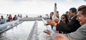 A 100 metros del complejo Ciudad Alfaro se construy&oacute; la planta de agua potable en el sector El Centinela.