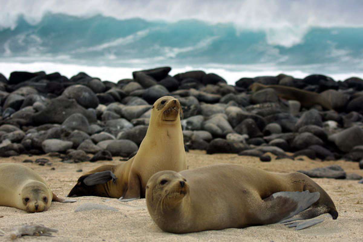 FOTO: www.hola.com 