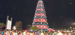 El &aacute;rbol de Navidad m&aacute;s grande de la provincia de El Oro llama la atenci&oacute;n a cientos de turistas que llegan de distintas sectores del pa&iacute;s. Foto: Fabricio Cruz / El Tel&eacute;grafo
