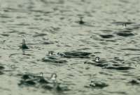 Las fuertes lluvias están pronosticadas hasta este domingo 