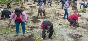 La reforestaci&oacute;n se tomar&aacute; varios sectores de Loja, incluidas las orillas de los r&iacute;os, para mejorar el medio ambiente de la ciudad.