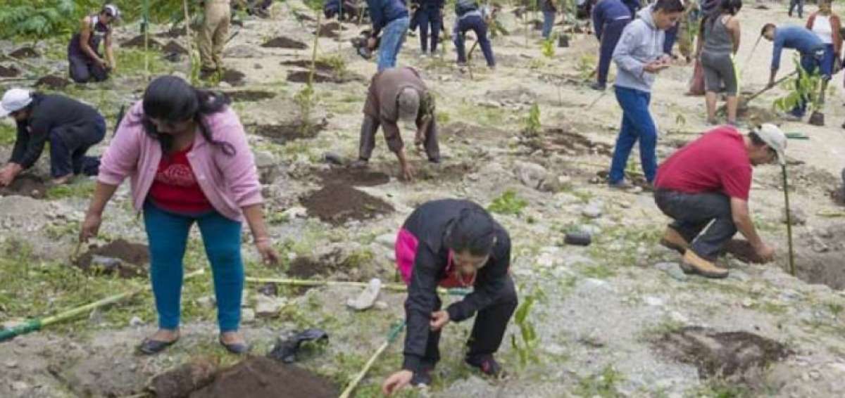 La reforestaci&oacute;n se tomar&aacute; varios sectores de Loja, incluidas las orillas de los r&iacute;os, para mejorar el medio ambiente de la ciudad.