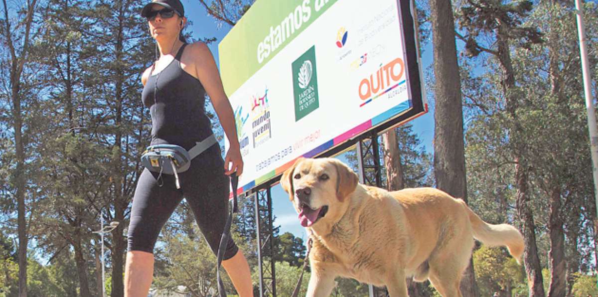 La alimentaci&oacute;n, cuidado e incluso ejercicio forman parte de la atenci&oacute;n que deben tener las mascotas. Mario Egas / El Tel&eacute;grafo