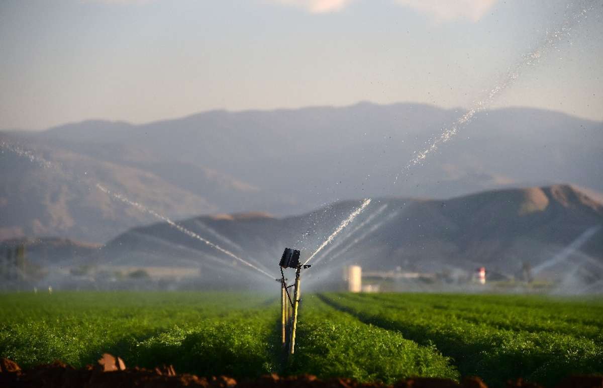 La NASA se&ntilde;al&oacute; en diciembre que California necesita m&aacute;s de 41.000 millones de litros de agua para recuperarse de la sequ&iacute;a que sufre desde hace cuatro a&ntilde;os, FOTO: AFP