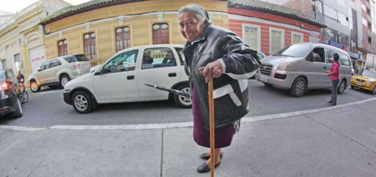 Espumilla madrugadora en el centro de Ambato