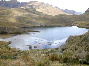 Operativos de control de elementos contaminantes