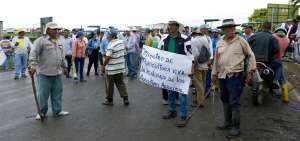 La UNA debe cobrar $ 15 millones por el arroz enviado a Cuba
