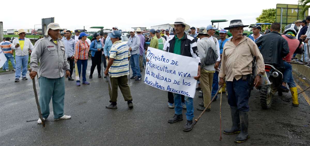 La UNA debe cobrar $ 15 millones por el arroz enviado a Cuba