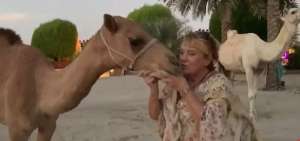 Mujer lo deja todo para irse a vivir al desierto de Dub&aacute;i con 40 camellos