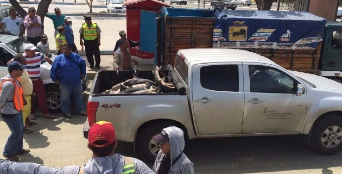 Foto: Cortes&iacute;a 
