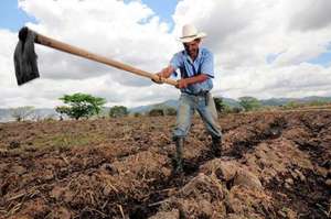 Las alteraciones clim&aacute;ticas que ocurren a nivel mundial generan terrenos secos. Foto: Cortes&iacute;a