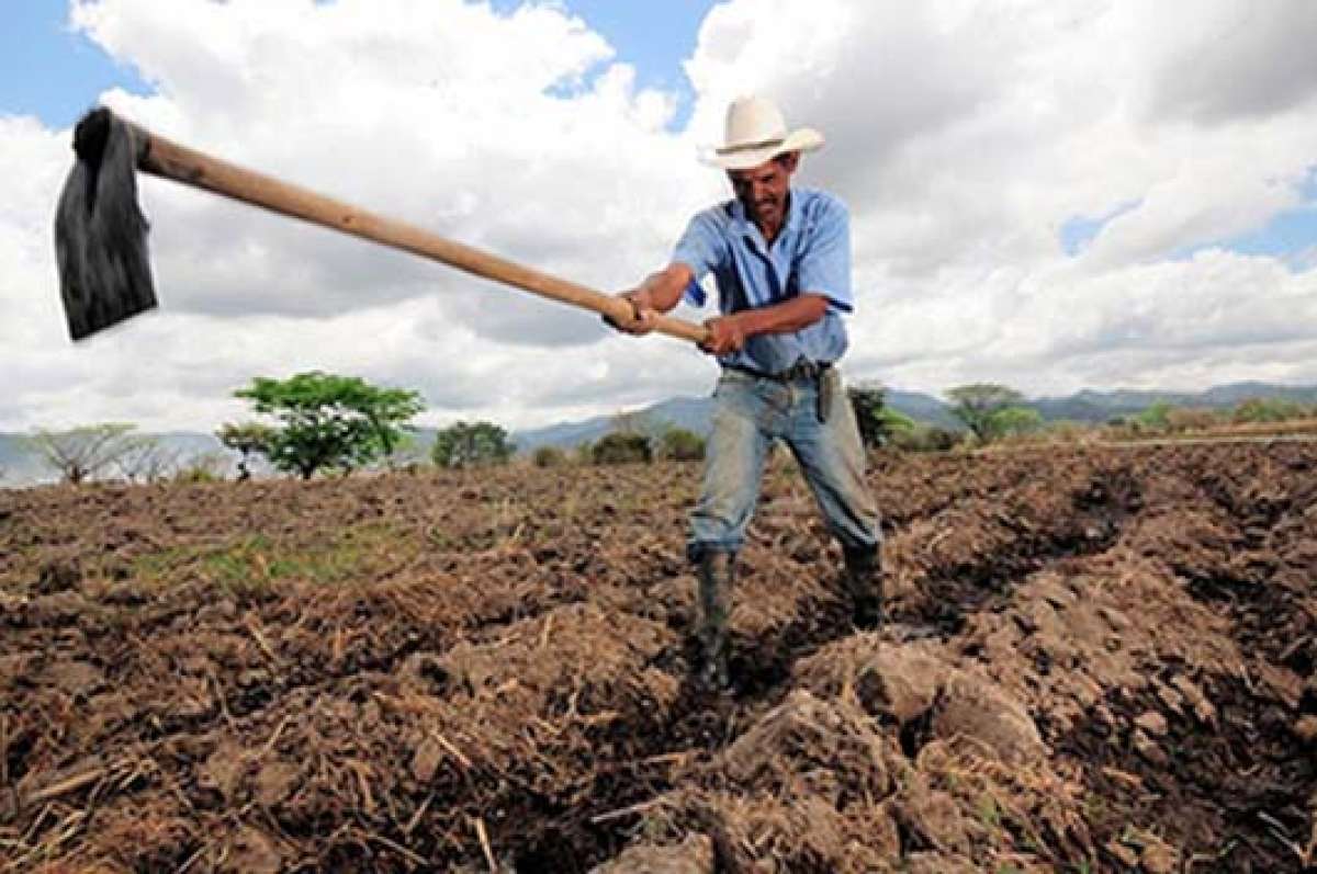 Las alteraciones clim&aacute;ticas que ocurren a nivel mundial generan terrenos secos. Foto: Cortes&iacute;a