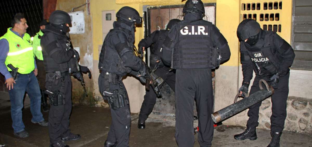 Los grupos t&aacute;cticos de la Polic&iacute;a Nacional, como el GIR, GOE, Adiestramiento Canino, Direcci&oacute;n de Inteligencia, participan en los operativos.