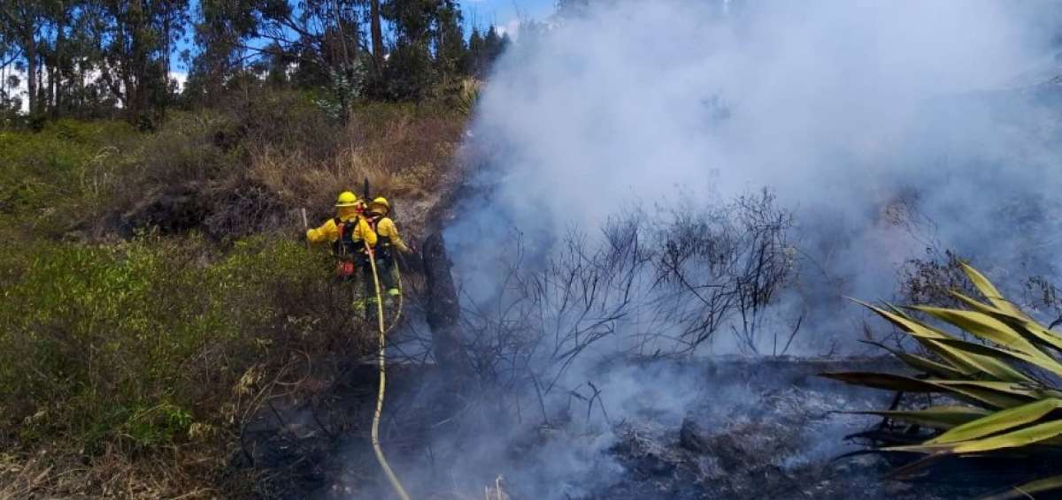 Controlan incendio forestal en sector de Carcel&eacute;n