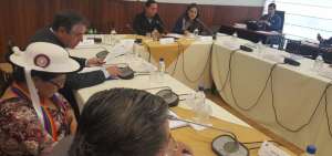 La Comisi&oacute;n Ocasional sesion&oacute; hoy.