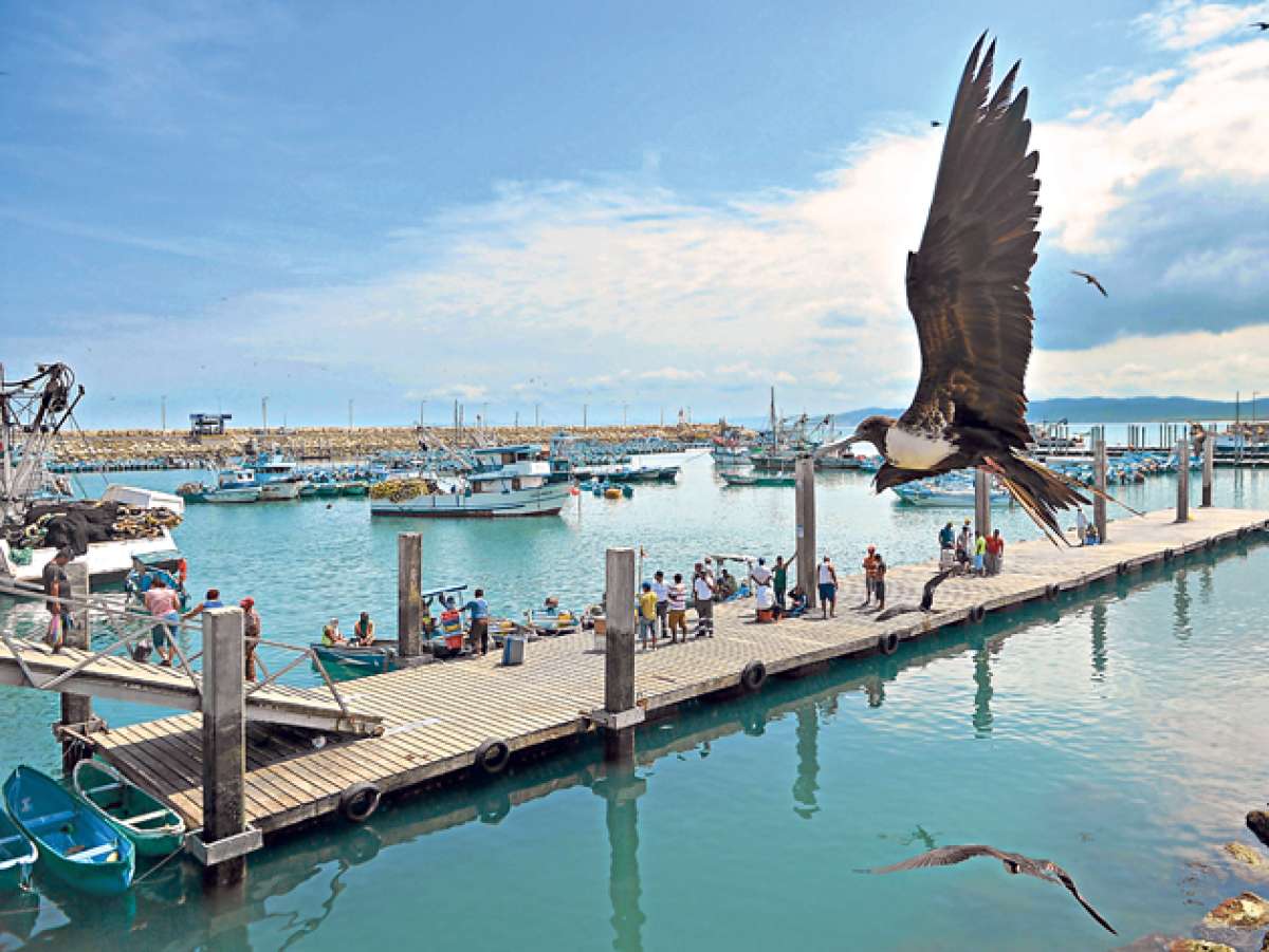 El puerto -ubicado en Manab&iacute; - tiene capacidad para 700 embarcaciones y represent&oacute; una inversi&oacute;n de $ 22 millones. Foto: Rodolfo P&aacute;rraga
