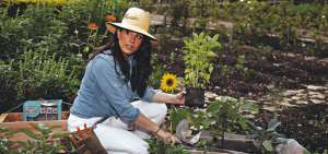 Claudia Salem considera que aquella creencia sobre la &ldquo;mala mano&rdquo; de algunas personas para las plantas es un mito. Aclara que todos podemos sembrar y que solo debemos fijarnos en las cantidades apropiadas de luz, agua y abono.    