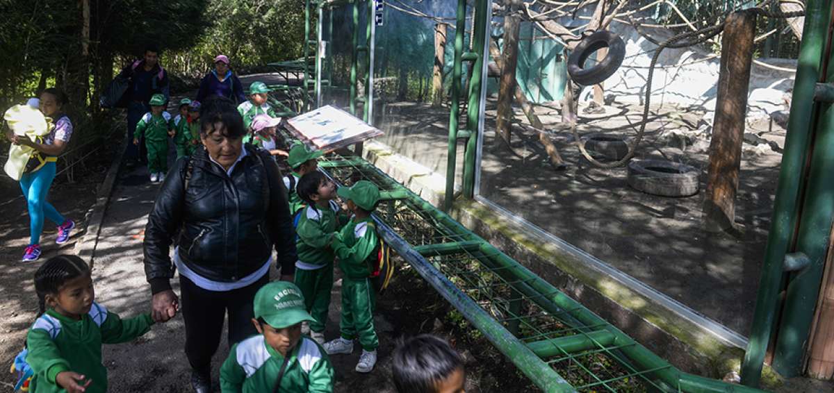 Los centros de tenencia deben adecuar los espacios en los que se encuentran los animales a fin de recrear el h&aacute;bitat natural de cada una de las especies.
