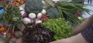 Los alimentos verdes, como lechuga, las espinacas acompa&ntilde;ada de vitamina C, son parte de la dieta que se requiere para superar la falta de hierro. 
