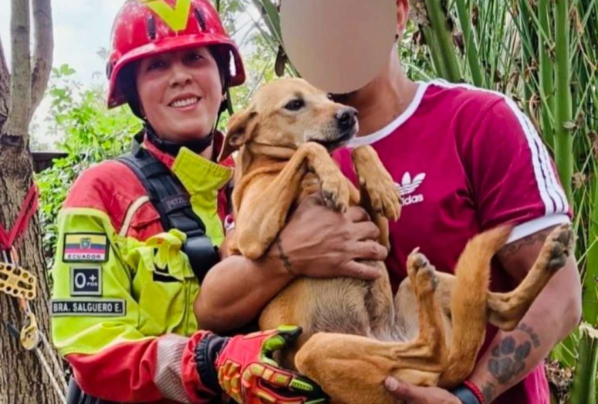 Personal de emergencia rescat&oacute; a &ldquo;Chiquit&iacute;n&rdquo;.