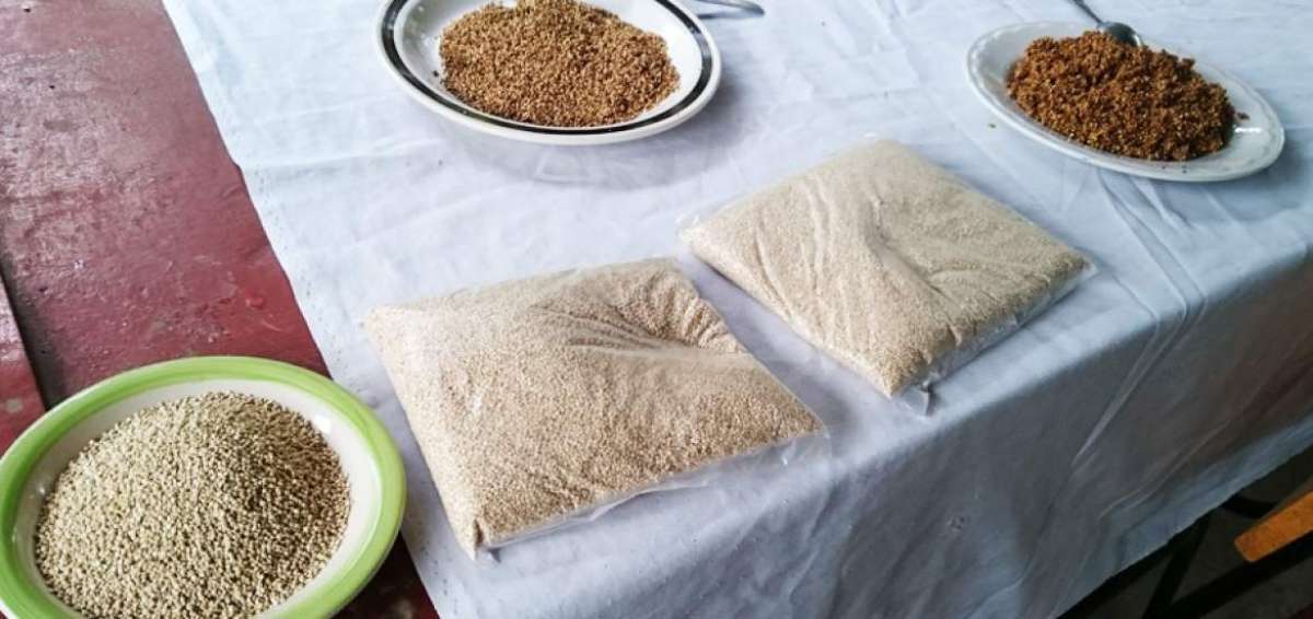 Las posibilidades culinarias de este grano andino apenas han comenzando a ser exploradas.