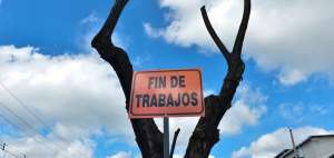 Los municipios tendr&aacute;n que socializar con habitantes las accciones referentes a los &aacute;rboles de la zona urbana.