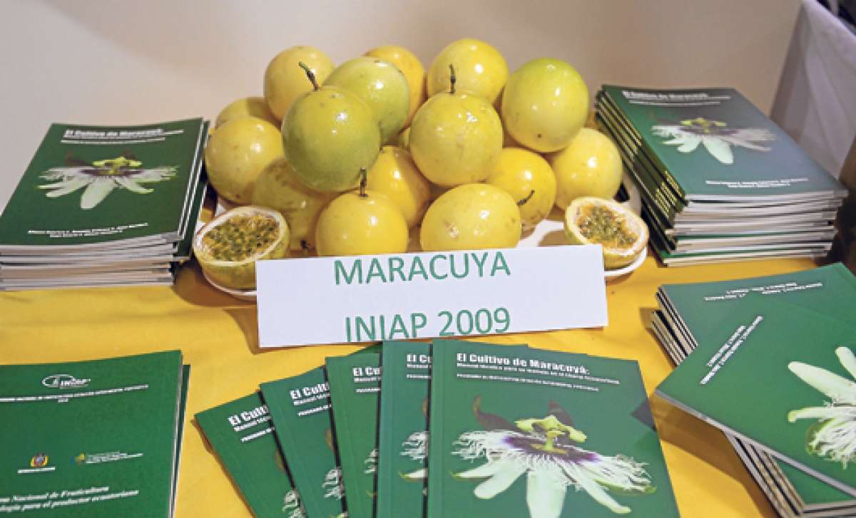 Productores de maracuy&aacute; quieren cr&eacute;ditos y mejores mercados 