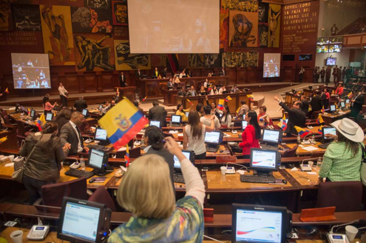 Luego de la votaci&oacute;n final, los asamble&iacute;stas de Alianza PAIS celebraron con banderas de Ecuador la aprobaci&oacute;n de las 15 enmiendas constitucionales. Foto: Fernando Sandoval / El Tel&eacute;grafo