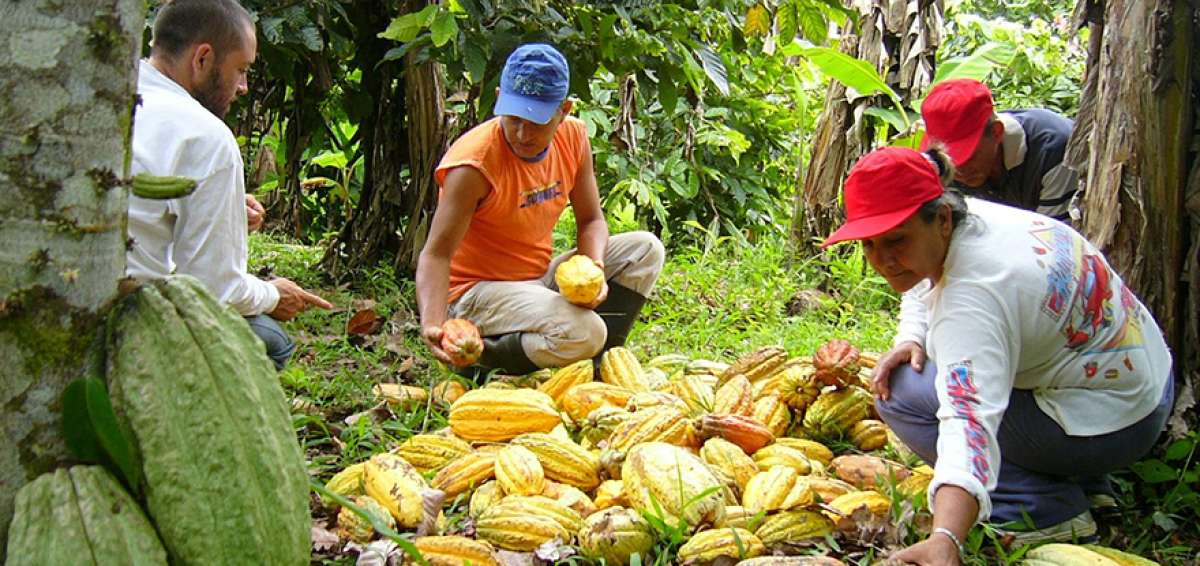 Varias ser&aacute;n las acciones que emprender&aacute; el Gobierno, a trav&eacute;s de dicha iniciativa, para el desarrollo y fortalecimiento del agro.