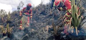Cuenca es declarada en emergencia por incendio forestal